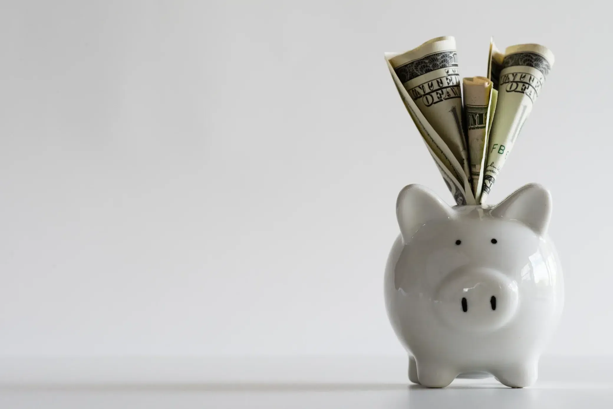 Piggy bank with cash savings